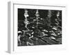 Reflections, Pier, 1971-Brett Weston-Framed Premium Photographic Print