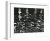 Reflections, Pier, 1971-Brett Weston-Framed Photographic Print