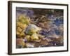 Reflections Rocks and Water, 1908 10 watercolor on paper-John Singer Sargent-Framed Giclee Print