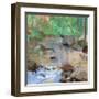 Reflections under Green-Angela Saxon-Framed Art Print