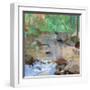 Reflections under Green-Angela Saxon-Framed Art Print