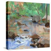 Reflections under Green-Angela Saxon-Stretched Canvas