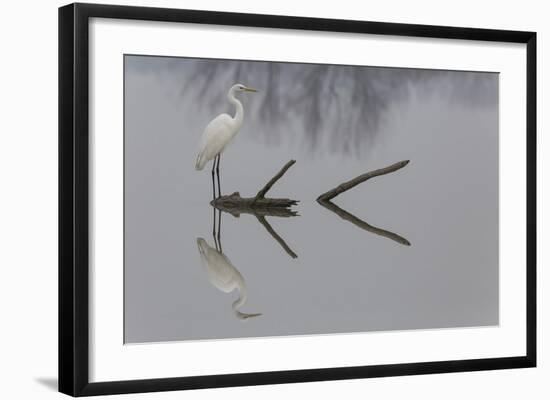 Reflections-Mauro Montuori-Framed Giclee Print