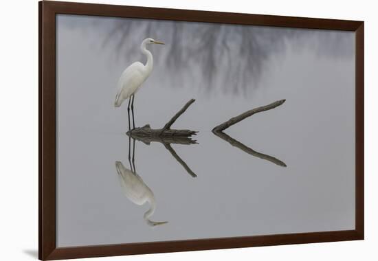 Reflections-Mauro Montuori-Framed Giclee Print