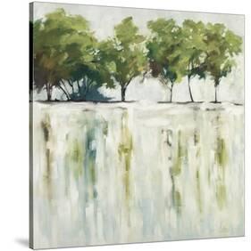 Reflections-Jacqueline Ellens-Stretched Canvas