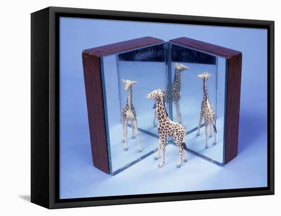 Reflections-Andrew Lambert-Framed Stretched Canvas