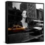 Reflections-null-Framed Stretched Canvas