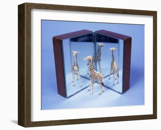 Reflections-Andrew Lambert-Framed Photographic Print