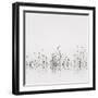 Reflections-Nicholas Bell-Framed Photographic Print