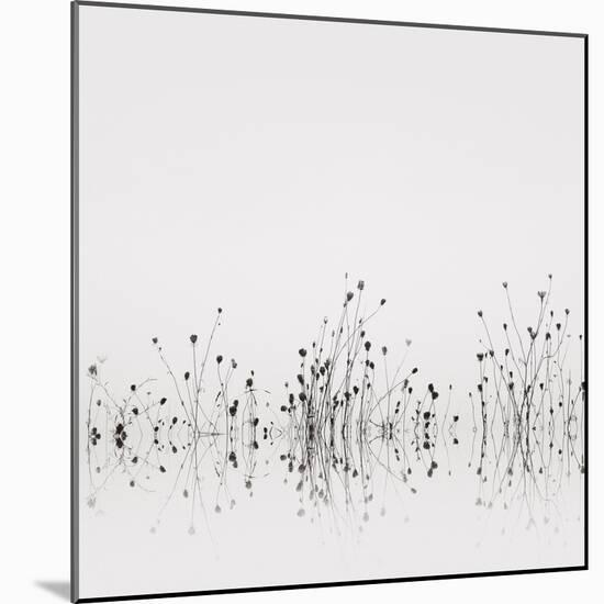 Reflections-Nicholas Bell-Mounted Photographic Print