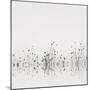 Reflections-Nicholas Bell-Mounted Photographic Print