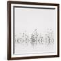 Reflections-Nicholas Bell-Framed Photographic Print