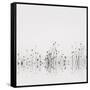 Reflections-Nicholas Bell-Framed Stretched Canvas