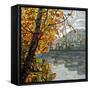 Reflections-Mandy Budan-Framed Stretched Canvas