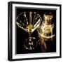 Reflections-Ray Pelley-Framed Premium Giclee Print