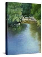 Reflections-Mary Jean Weber-Stretched Canvas