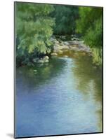 Reflections-Mary Jean Weber-Mounted Art Print