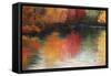 Reflections-Molly Reeves-Framed Stretched Canvas