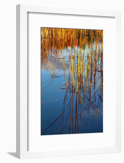 Reflections-Anthony Paladino-Framed Giclee Print