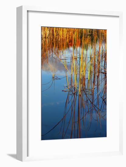 Reflections-Anthony Paladino-Framed Giclee Print