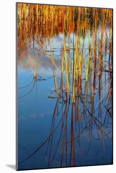 Reflections-Anthony Paladino-Mounted Giclee Print