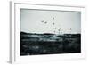 Reflective Fields II-Sydney Edmunds-Framed Giclee Print