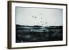 Reflective Fields II-Sydney Edmunds-Framed Giclee Print