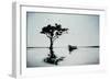 Reflective Pools III-Sydney Edmunds-Framed Giclee Print