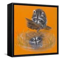 Reflective Racoon - 35A-Peggy Harris-Framed Stretched Canvas