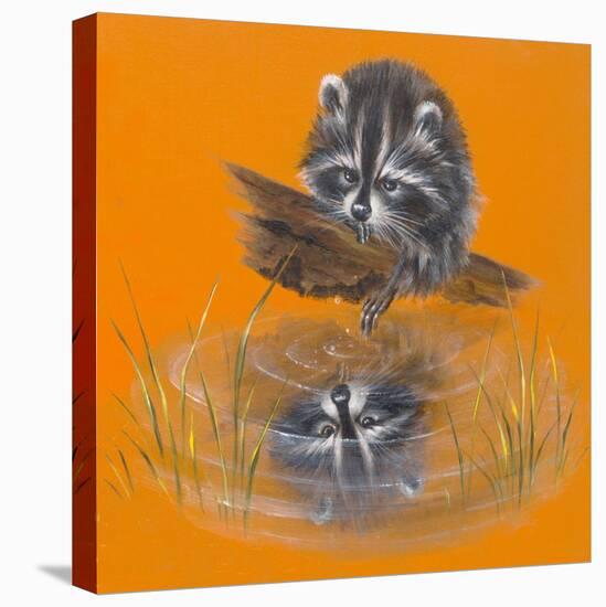 Reflective Racoon - 35A-Peggy Harris-Stretched Canvas