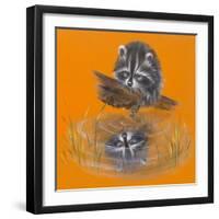 Reflective Racoon - 35A-Peggy Harris-Framed Giclee Print