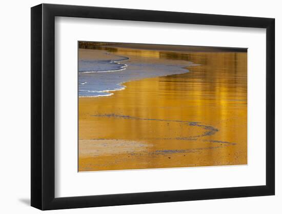 Reflective wet sand at sunrise, Cape Kiwanda in Pacific City, Oregon, USA-Chuck Haney-Framed Photographic Print
