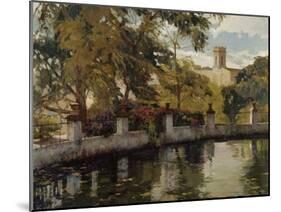 Reflejos en el Estanque-Poch Romeu-Mounted Art Print