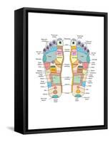 Reflexology Foot Map, Artwork-Peter Gardiner-Framed Stretched Canvas