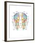 Reflexology Foot Map, Artwork-Peter Gardiner-Framed Photographic Print