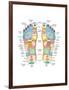 Reflexology Foot Map, Artwork-Peter Gardiner-Framed Photographic Print