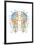 Reflexology Foot Map, Artwork-Peter Gardiner-Framed Photographic Print