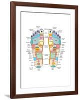 Reflexology Foot Map, Artwork-Peter Gardiner-Framed Photographic Print