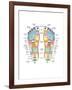 Reflexology Foot Map, Artwork-Peter Gardiner-Framed Photographic Print