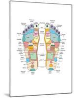 Reflexology Foot Map, Artwork-Peter Gardiner-Mounted Photographic Print