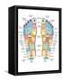 Reflexology Foot Map, Artwork-Peter Gardiner-Framed Stretched Canvas