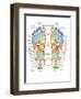 Reflexology Foot Map, Artwork-Peter Gardiner-Framed Photographic Print