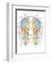 Reflexology Foot Map, Artwork-Peter Gardiner-Framed Photographic Print