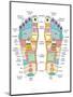 Reflexology Foot Map, Artwork-Peter Gardiner-Mounted Photographic Print