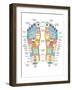 Reflexology Foot Map, Artwork-Peter Gardiner-Framed Photographic Print