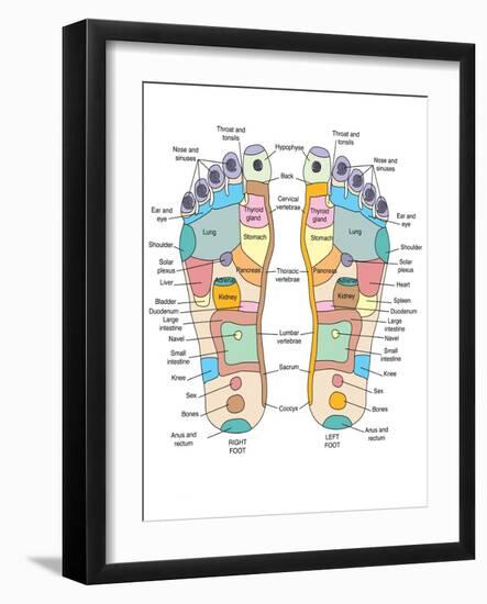 Reflexology Foot Map, Artwork-Peter Gardiner-Framed Photographic Print