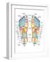 Reflexology Foot Map, Artwork-Peter Gardiner-Framed Photographic Print