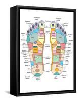 Reflexology Foot Map, Artwork-Peter Gardiner-Framed Stretched Canvas