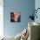 Reflexology Massage-Cristina-Mounted Premium Photographic Print displayed on a wall