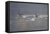 Refracted Light-Bruce Dumas-Framed Stretched Canvas